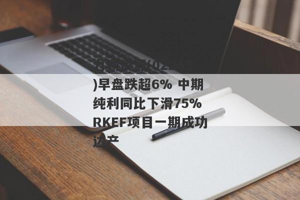 力勤资源(02245)早盘跌超6% 中期纯利同比下滑75% RKEF项目一期成功达产