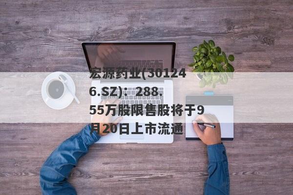 宏源药业(301246.SZ)：288.55万股限售股将于9月20日上市流通