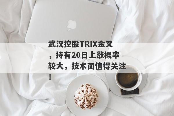 武汉控股TRIX金叉，持有20日上涨概率较大，技术面值得关注！