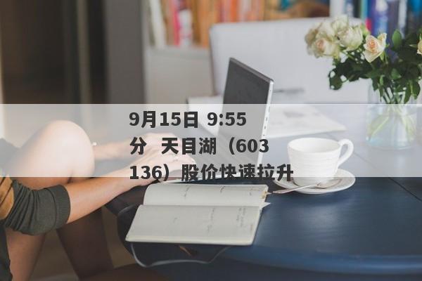 9月15日 9:55分 天目湖（603136）股价快速拉升