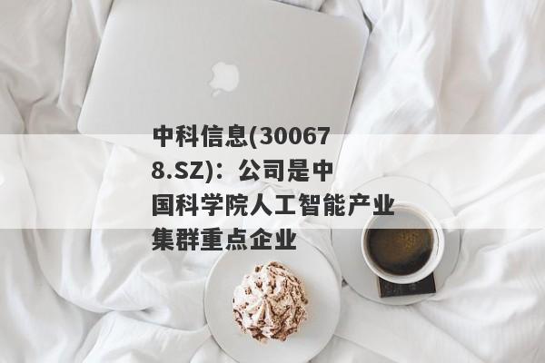 中科信息(300678.SZ)：公司是中国科学院人工智能产业集群重点企业